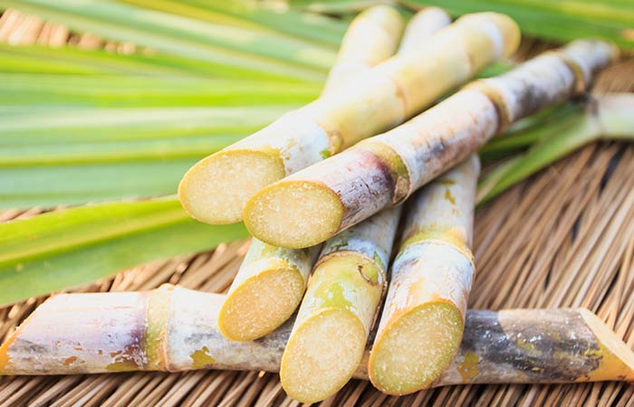 /wp-content/uploads/Sugarcane-A-Brief1.jpg