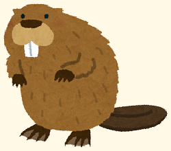 /wp-content/uploads/animal_beaver1-1.png