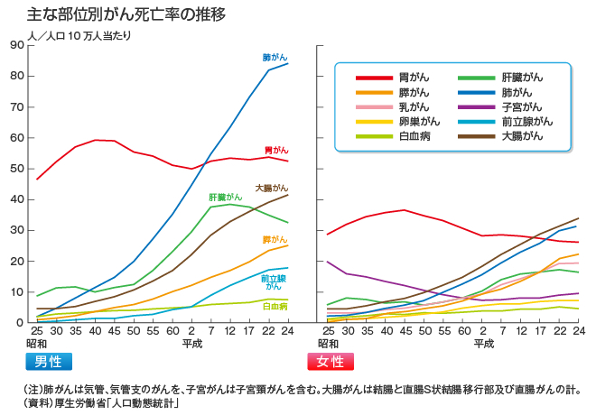 /wp-content/uploads/graph_buibetsu1.jpg