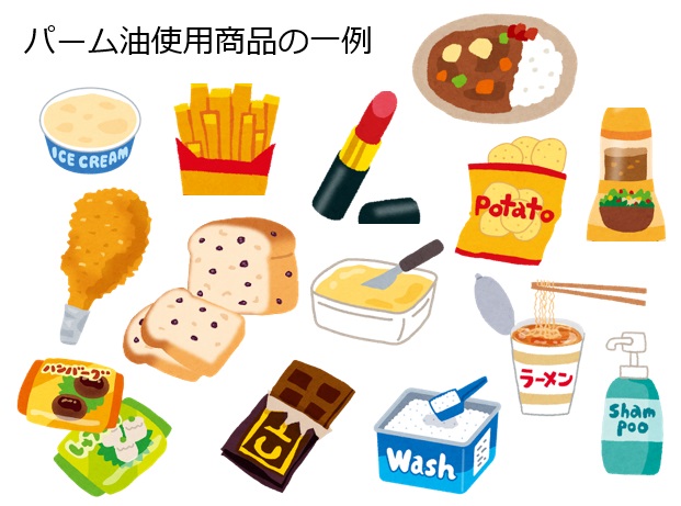 /wp-content/uploads/palm-oil-illust1.jpg